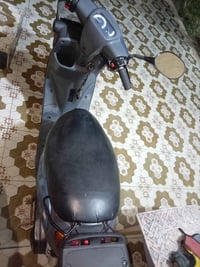 منغولي أم السله • فول مكينه • ٢٠٠٣