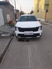 سورينتو • ٢٠٢٤ • ٥٥٠٠٠ كم