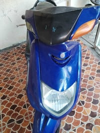 سكنس • ياباني • المحاويل