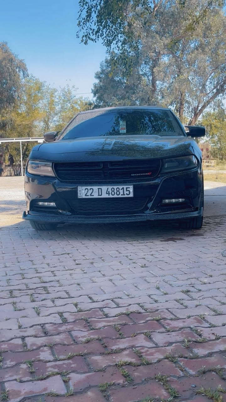 سلام عليكم للبيع دوج جارجر عداد 260السياره فتحه سقف كلين حتى دعاميات فقط بيهه مكانين بارد ب جاملغ الخلفي تو ويل كير مكينه تبريد حداديه شرط سعر ١٩٥ بيهه مجال بسيط مكان ديالى بعقوبه *********** اتصل وبخدمتك
