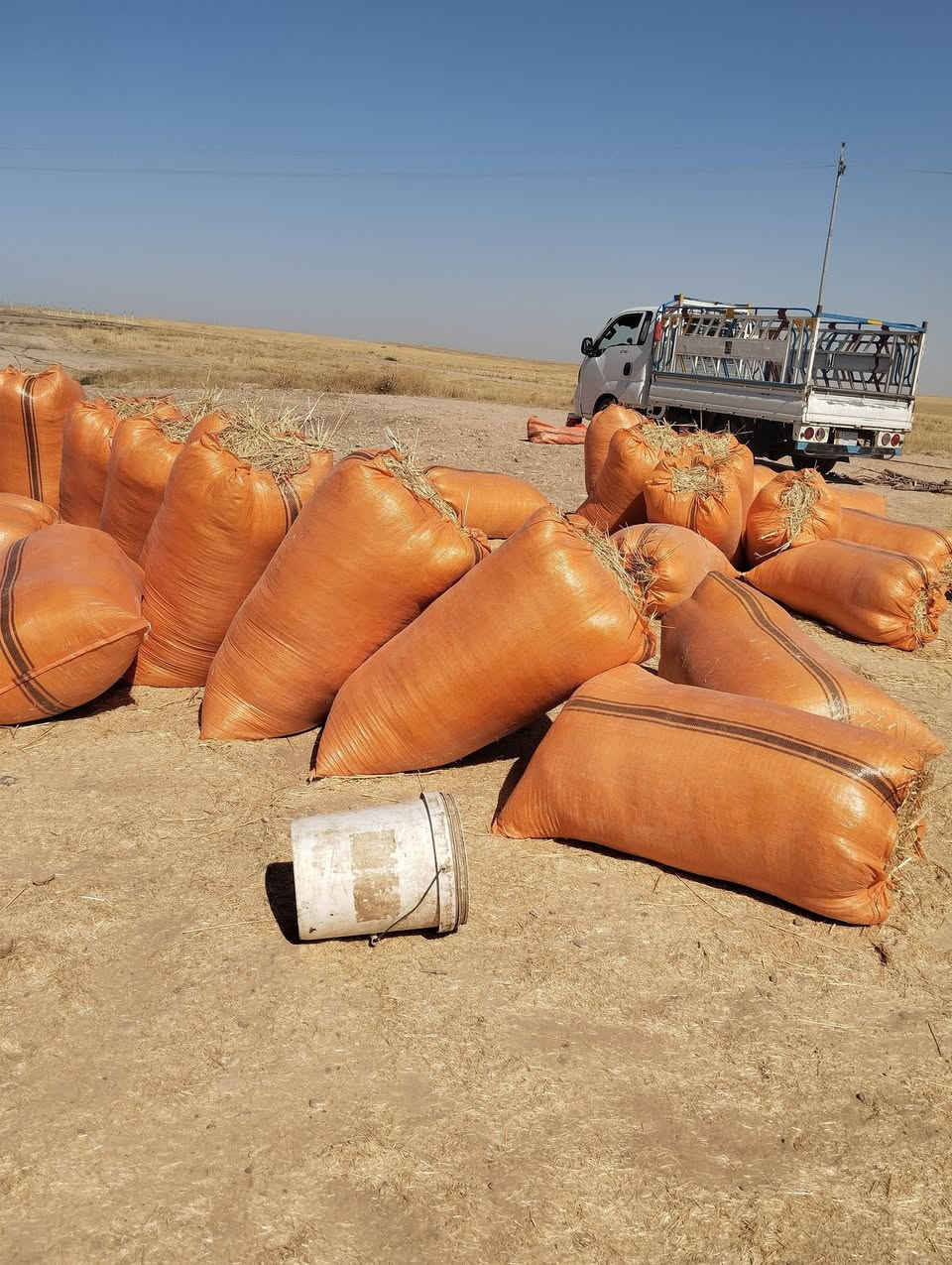 السلام عليكم
تبن للبيع شلفان ارتفاع 120وعرض 80ودكاك فول تبن شرط نضيف مال السنة  تبن حنطه موشعير    وشرط الدكاك  السعر الشليف الواحد بــــ (4500) واصل  للبيت 
  الاستفسار على الرقم  ***********
