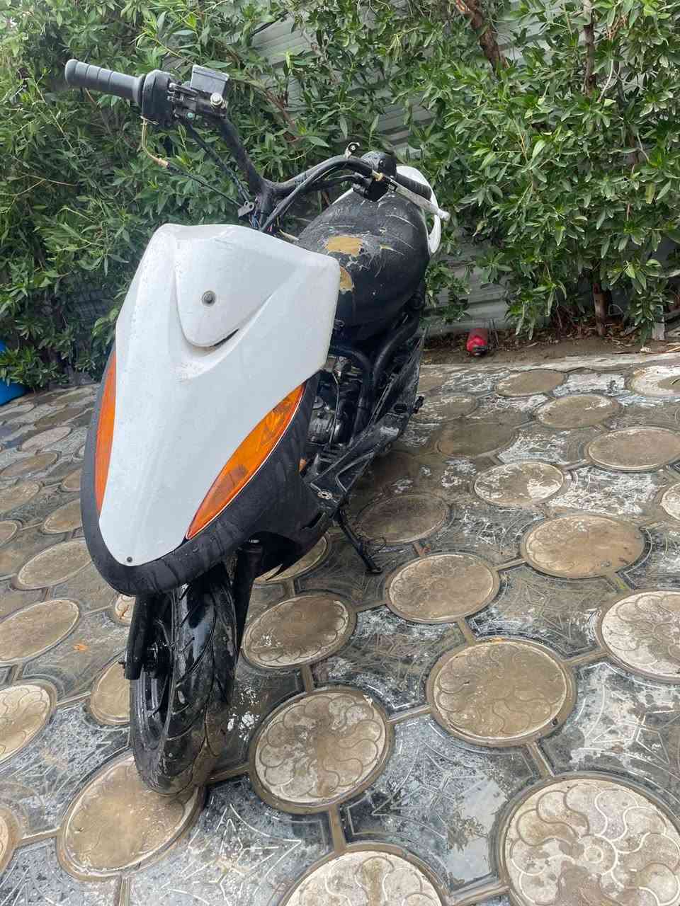 ماكس عدلة مال لعب سلف هندر شلعة معدل كور ولفين كبار   بوشة ٥٥ سعر ٣٠٠ مكاني بغداد شارع فلسطين ***********
