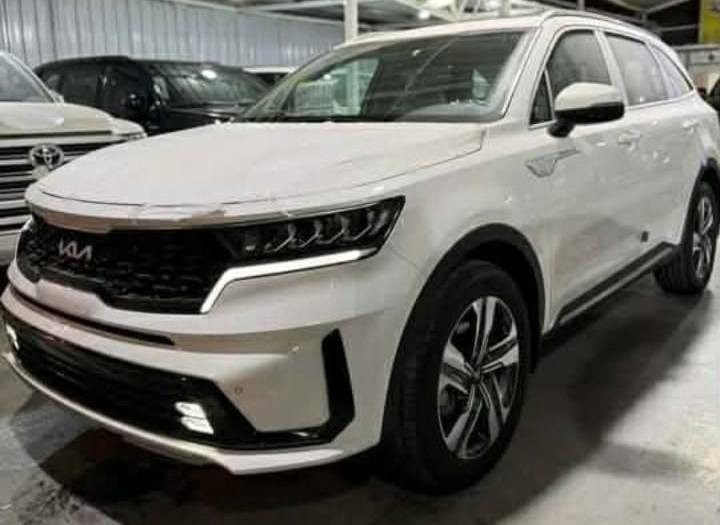 كيا سورنتو موديل 2023 ( خليجي ) اخت الزيرو
محرك 6 سلندر سبعه راكب 3 قطع تبريد 
اخت الزيرو ماشية 9 آلاف كفالة عامة من الزلغ 
شاشة جبيرة جي بي اس نضام الملاحه 
شفتات ستيرن إنارة محيطية سبع الوان 
كشنات كله كهرباء جنطه كهرباء لايت 
ليد 4 عدسات بك لايت لد سايد بريك 
دكمه اربع وضعيات قيادة ويل 19 رقم 
بغداد انكليزي بسمي شخصيا 
سيارة جديدة السيارة بالكارتون

ال💎ــسعـر 🟥 :: رقم (1) تلـقـائـي 📮

رقم صاحب ســـيـارة :: ***********
