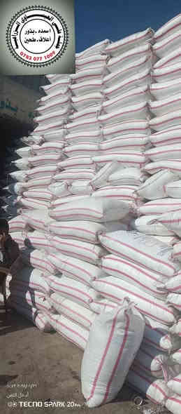 تخفيض في أسعار اليوريا الإيراني كرمنشاه المحبب خشن يتوفر بكميات كبيرة وبسعر مناسب جدا وتوصيل مجاني 

يوريا ايراني خشن #كرمنشاه #الاصلي 
  العنوان بابل الكفل
مقابل كراج بني مسلم 
للحجز اتصال على الارقام التاليه 
***********
***********
