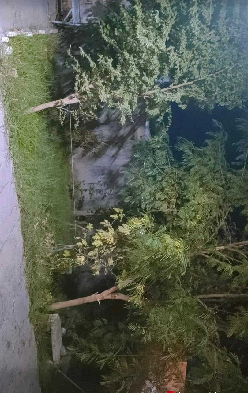 بيت للبيع بسعر مناسب في خانقين منطقة بانميل 🏘️ المساحه200م
يحتوي على 1 غرفة نوم واستقبال وصاله ومطبخ ومجمع صحيات وحديقة وكراج سياره//البيت فول سيراميك كلش نظيف 
السعر مناسب للاستفسار ***********
