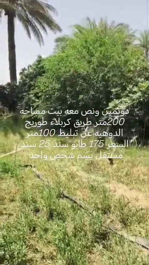 يا الله دونمين ونص  مع بيت 200 متر طريق  طويريج كربلاء شارع الدويهيه عن التبليط 100 متر الكاع  مخدومه ومزروعه نخيل اشجار بالكامل والسعر 175 @إشارة التصال ***********
