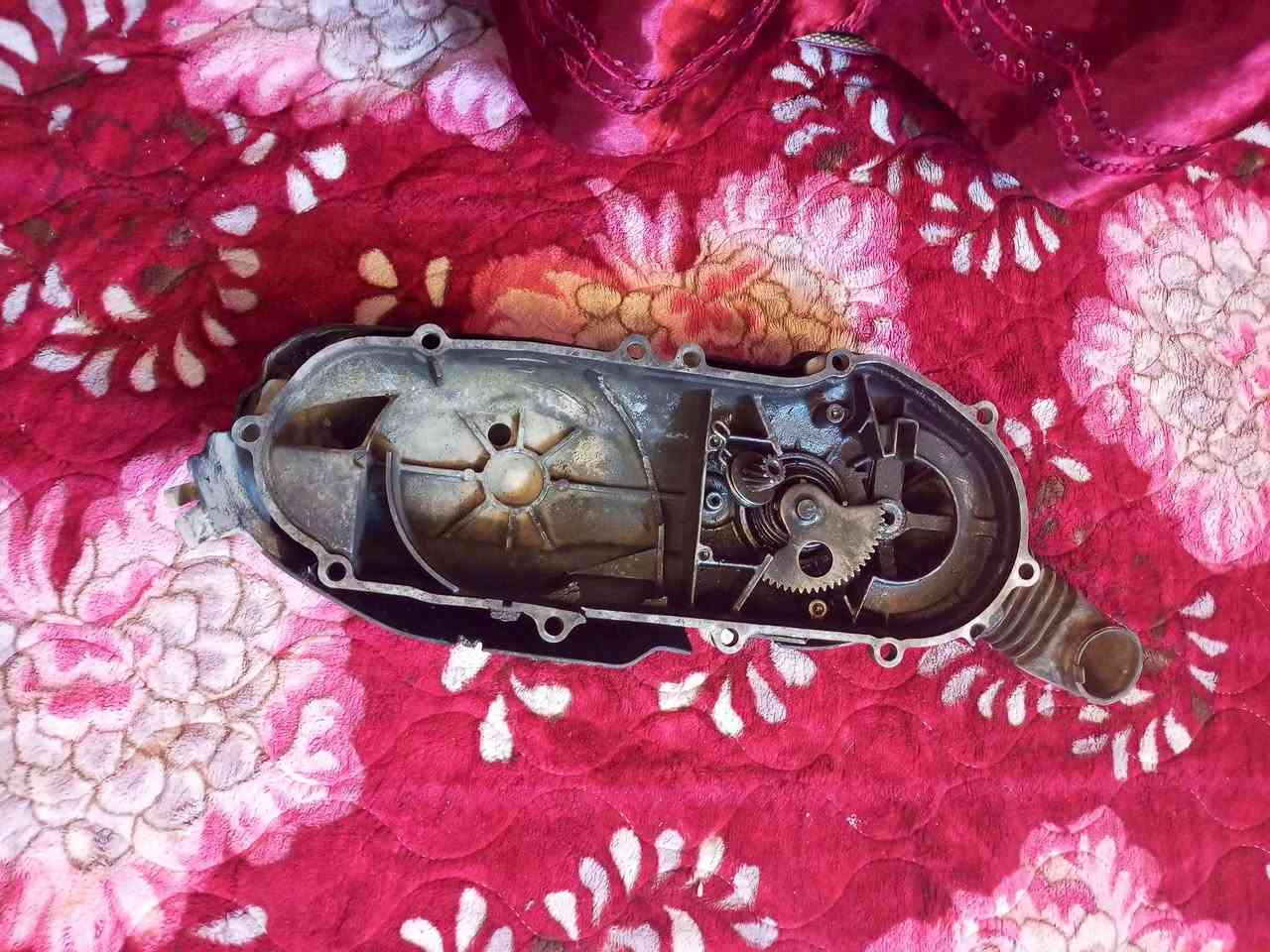 قبق كلجات مال سكنس قبق يخبل نضييف للبيع سعر 25 وابي مجال قليل مكاني بغداد شعب رقم *********** متواجد وتساب أو اتصل عل رقم
