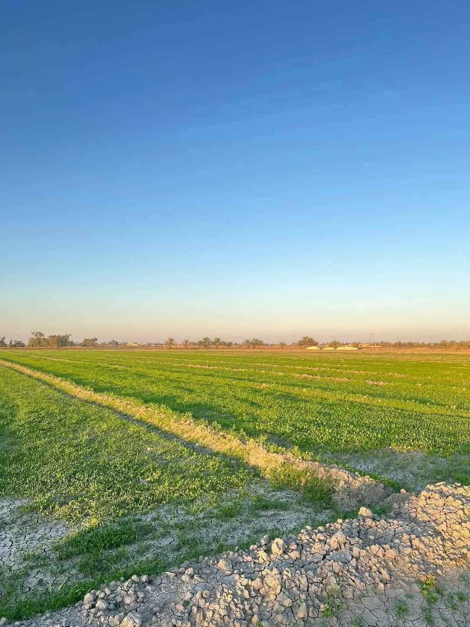 اين اصحاب الامكانيه القليله ✅
ارض للبيع سعر الدونم الواحد 13وبي مجال طابو سند 25
المساحة 18 دونم تباع مفرد كامله خدماتهه ماء وكهرباء 
كما موضع بلتصوير وقريبه على التبليط العنوان تاجي سبع البور منطقه الشيخ عامر العيساويه ثاني يوم فتح بيان تحويل بسم المشتري مباشر 
بلعيساويه يبعدن عن مدينة سبع البور 15 دقيقه 
للاستفسار واتساب متوفر ***********
