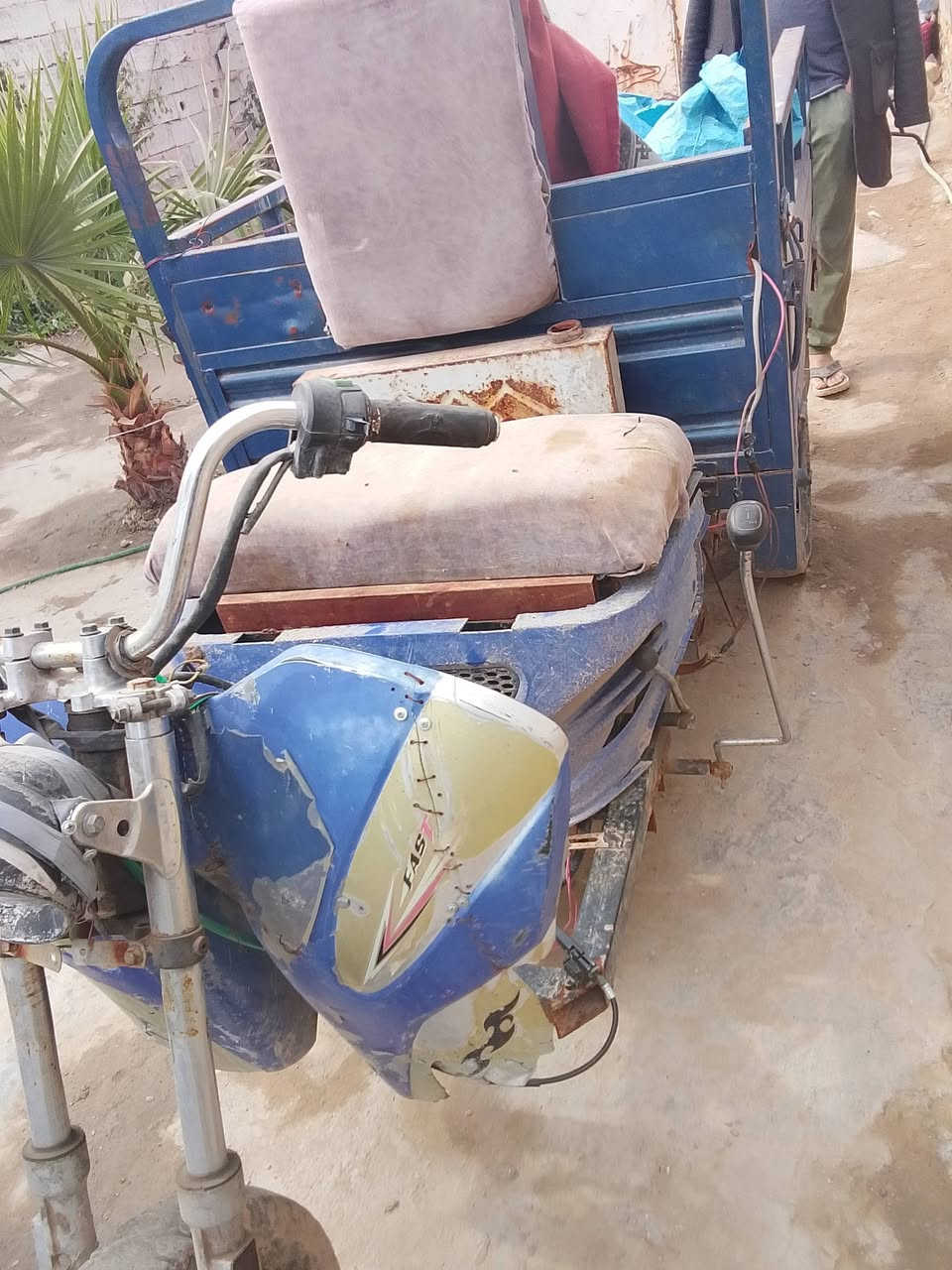 ستوته معوقين للبيع مكاني الدوانيه ***********
