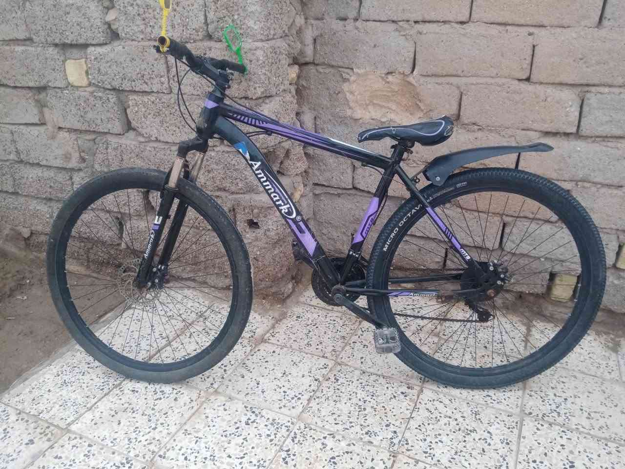 سلام عليكم ورحمة الله وبركاته بايسكل جبلي ياباني اصلي مابي اي شي البايسكل جديد ما ناقصه شي السعر 100 وبي مجال مكاني قلعه صالح


**إذا كنت صاحب هذا الإعلان وتريد حذفه لأي سبب، رجاءا أرسل رسالة إلى الدعم الفني**