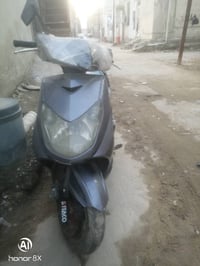 سكنس • ياباني • فحل