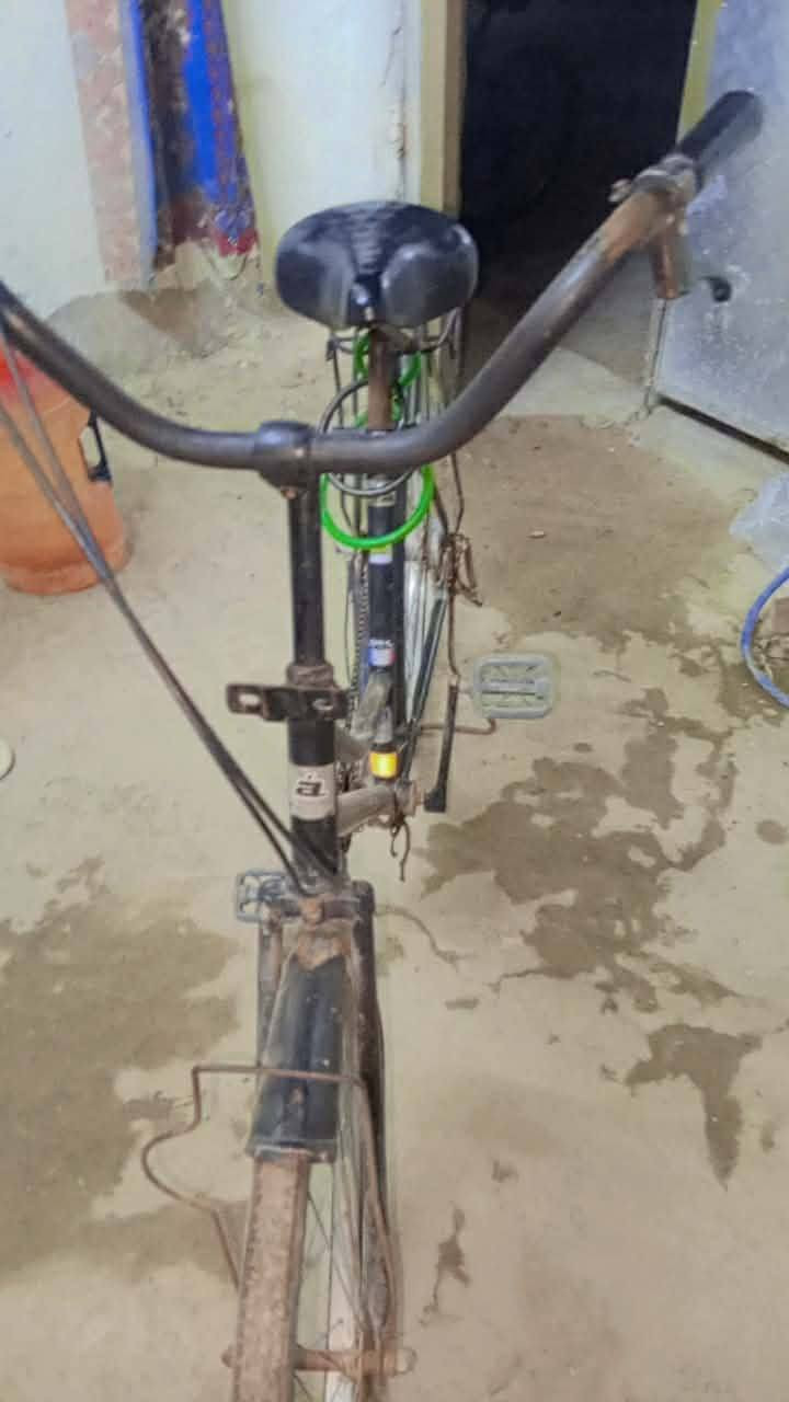 السلام وعليكم 👋 باسكل بناتي. حجم 26😮 وكير بي شغال 3 نمره + ويا سله تتخله صفح+ ويا جرس 🔔قوي. السعر $ 40 وبي مجال حك الجيه 👤 الله شاهد باسكل أحله من صوره شراي يجي خاص


**إذا كنت صاحب هذا الإعلان وتريد حذفه لأي سبب، رجاءا أرسل رسالة إلى الدعم الفني**