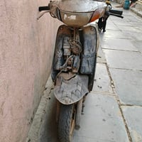 عصفورية • شغالة • النصر