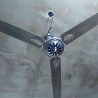 بنكة • لشيلة • الدورة