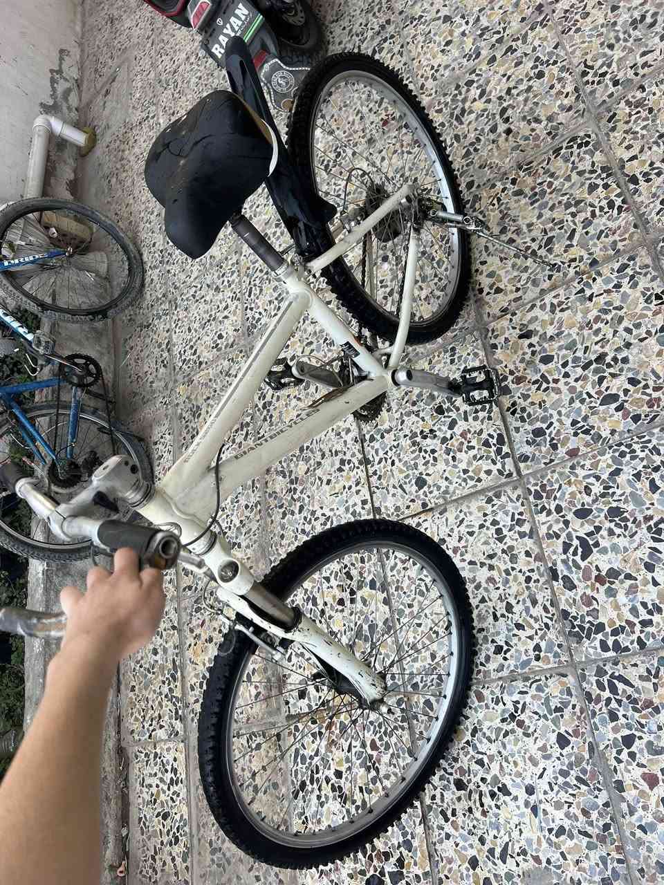 باسكال أمريكي رياضي للبيع كير شغال ابريك شغال كامل للبيع السعر 100 وبي مجال للشراي المكان بغداد العامريه


**إذا كنت صاحب هذا الإعلان وتريد حذفه لأي سبب، رجاءا أرسل رسالة إلى الدعم الفني**