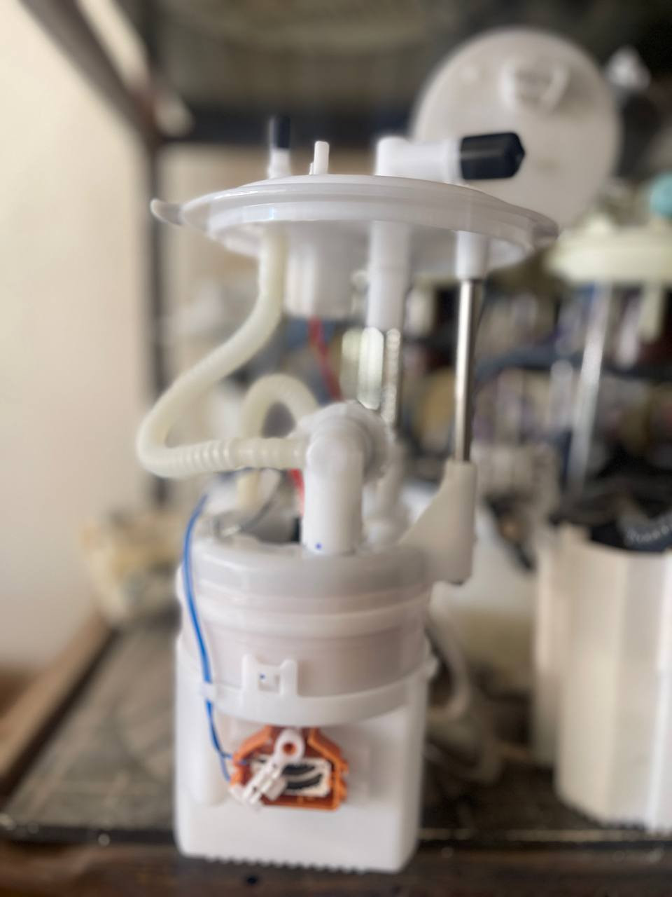 قواعد فيت بم سنتافيا سورنتو تايوان ضمان ٣ أشهر ***********
