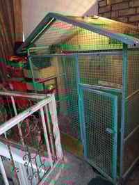 قفص • للبيع • ديكور