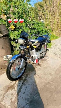 تايكر • بوكسر • بعقوبة