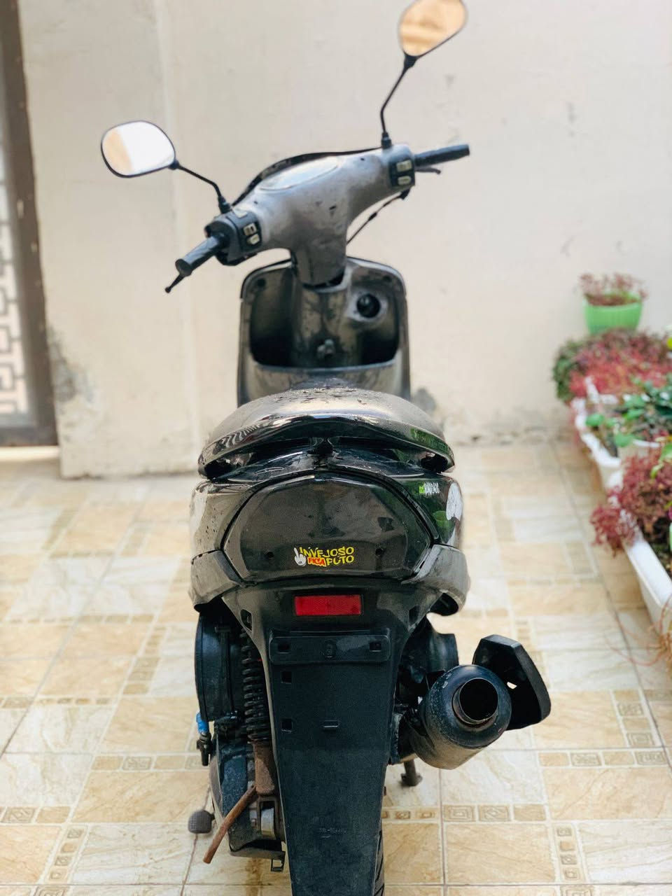 ماكس منغولي ياباني شغاله 
شلعه ومعدل ونعومه 
السعر 350 وبيها مجال لشراي 
حله مركز المدينة 
***********
