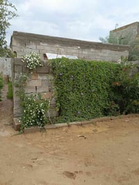 قطعه ارض للبيع مساحه 650 متر + مشتمل قرب شركة ببسي بغداد وكلية طيبه 07...