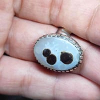 داودي يماني سعر 40  يوجد توصيل واتساب 07816633442