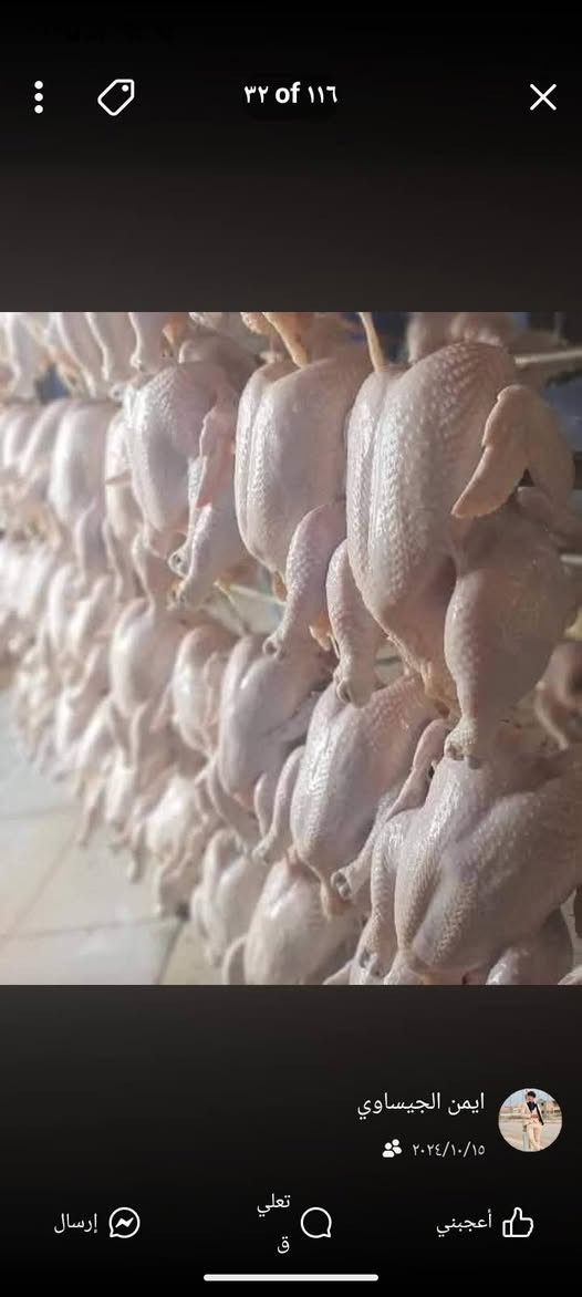 "بسم الله الرحمن الرحيم"
     تم بعون الله افتتاح مجزرة دجاج حي 🐔🐔 للبيع بأسعار مناسبه جداً سعر الكيلو 3,500
           ؟ العنوان مسقف ومشويات الحي العصري؟ بأدارة أ.            أ#حمد الزيدان #واحمد فائز 
    رقم ه ***********
***********يوجد لدينه خدمت توصيل@
