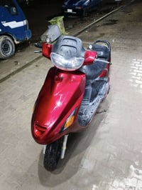 فراشة • نجف • كهربيات شغالة