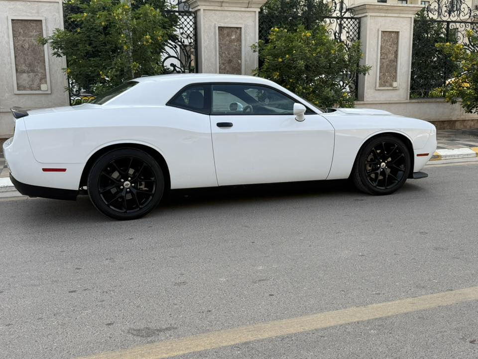 جالنجر جي تي ٢٠٢٢
معروفه مواصفات ال جي تي ٦ سلندر 
السياره نظيفه كولش وع ايدي 
حادثها جاملغ امامي جهة السايق فقط بدون لا ايرباك ولا دواخل ولا شواصي 
رقمها بغداد باسمي هزة جديده تحويل ثاني يوم 
واجه بيها كلير من امريكا ٣ قطع كلير فقط يعني لا حادث ولا شي وممكن ينشال وميبين ابد 

ماشية ٤٦ ميل مماشيه هواي بالعراق 
 سعرها ١٨٨ ورقه وبيها مجال 

***********
***********
