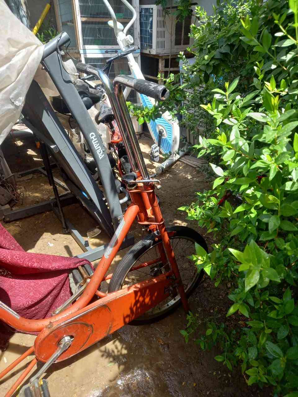 .اجهزه رياضيه بيسكل رياضي الماني..
غزال طائرة رياضي أوربي 
سعر الواحد ٩٠ الف العنوان بغداد 
0775415458.


**إذا كنت صاحب هذا الإعلان وتريد حذفه لأي سبب، رجاءا أرسل رسالة إلى الدعم الفني**