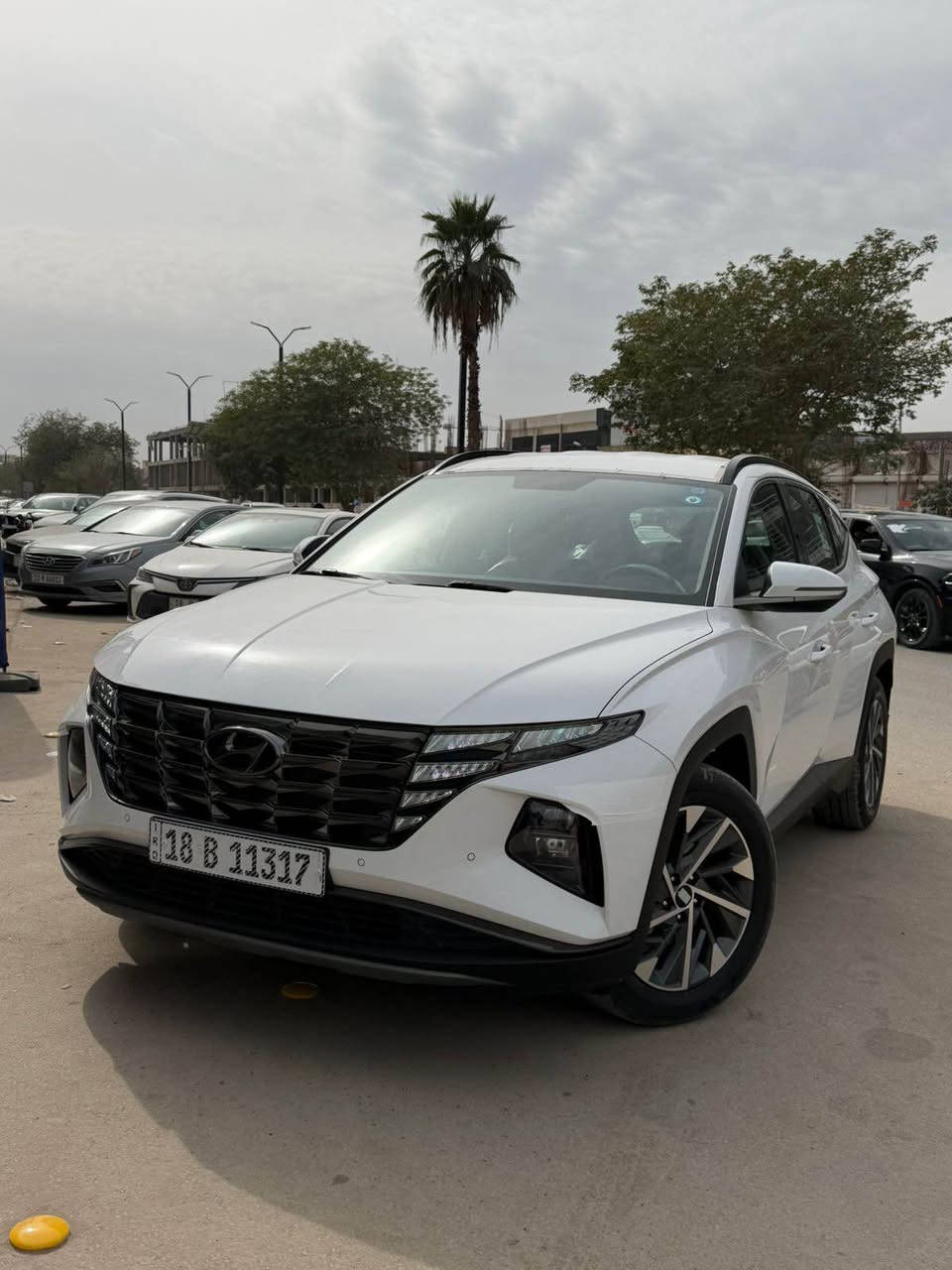 هونداي توسان خليجي موديل 23 للبيع ماشيه 18 km السعر 210  $ 

السياره كفاله عامه 

المواصفات : 

بصمه تشغيل - تشغيل عن بعد - حساس أمامي خلفي بلادي - كامره خلفيه دواره بلادي- تحكمات 
شاشه كبيره لمس - داخل لونين - أشاره بلمري +شفط كهرباء  - تبريد أمامي خلفي - حاجب زنون نهاري ليلي
لايت عدسه عالي ناصي زنون - حجم المحرك 2000 دوش
كشنات السائق وصدر كهرباء - بردات خلفيه 
سايد بريك كهربائي - نفكيشن -  3انظمه قياده
حجم الويل 18 كروم - عداد الكتروني 

السعر 210  ورقه وبيها مجال مكاني حله *********** حلة, بابل
