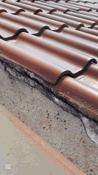 تعاني من الرطوبة او النضوح او التسريب
جبنالك الحل الامثل والأسرع والاسهل
الي يستخدم على مختلف الأسطح 
الكونكريت والخشب والساندويج بنل والزجاج والحديد
يستخدم لمعالجة تشققات الجدران واسطح المنازل والحمامات وانابيب الماء والشبابيك 
سبري مانع تسريب الامريكي 🇺🇲🇺🇲
الاصلي والحصري لدى شركتنا 

يتوفر بألوان مختلفة 
شفاف     ابيض ⬜️  اسود ⬛ رصاصي ☑️
......
سعر  ١ علبة ١٥ الف والتوصيل مجاني
سعر  ٢ علبة ٢٥ الف والتوصيل مجاني
سعر ٤ علبة ٣٥ الف والتوصيل مجاني
المنتج مضمون لدى شركتنا
......
للطلب يرجى ارسال الرقم والعنوان الكامل للصفحة 
او التواصل واتساب مع الرقم التالي 
***********
