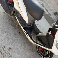 ماكس ثعلب • اوراق كامله • تقاطع درويش