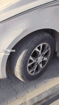 السلام عليكم ورحمة الله تحوير كشنات للسيدونا وللكرنفال حديث وقديم امامي والخلفي مع  اضافيه للكشن الخلفي فتح وشد براخي مكاني بلرميثه واتساب ***********
