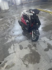 دراجة • سكنس • فحل