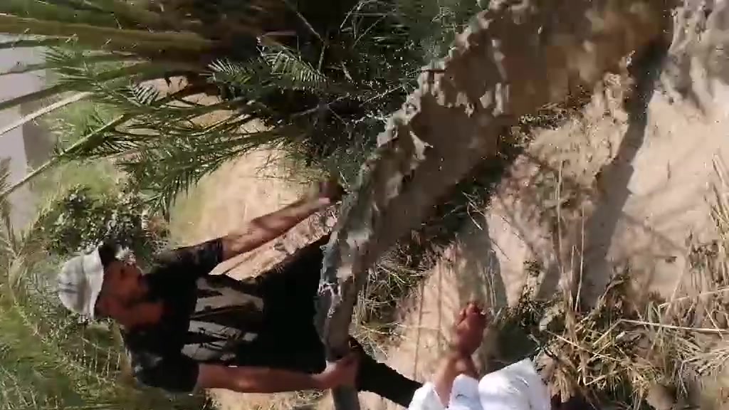 حفر لابار الارتوازيه والمهولات وتعبيرات الشارع كافت محفضات العراق بسعار مناسبه ***********
