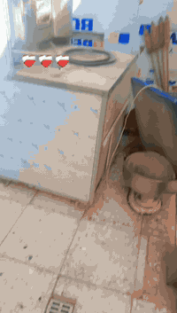 السلام عليكم غراض مطعم للبيع ميوزة وشوية كص سعرها ٢٥٠ شواية دجاج كاملة ٢٥٠ فرن بيتزا كامل وي غراضة وصواني ابو الطابقين  سعرة ٨٠٠ وبين مجال الغراض نضيفات كلش  الرقم ***********
