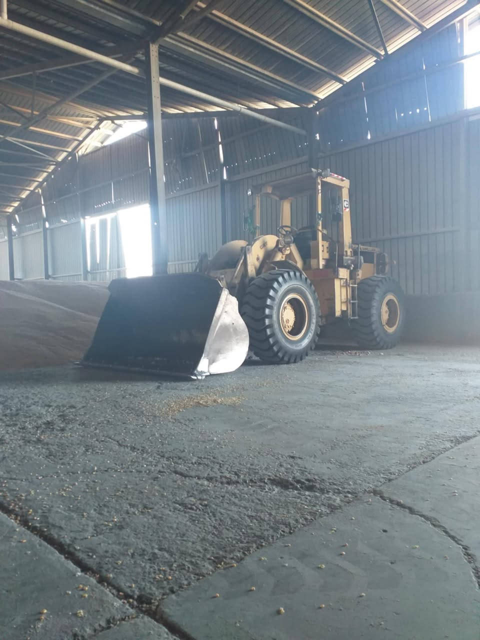 السلام عليكم شفل كتر بلر ناين ففتي موديل 82 مكينه بلاديه كير محرك اكسنات كلة عل بلاد تخم تاير جديد مكينه شرط كلهه عل بلاد مكاني واسط العزيزية رقمي ***********
