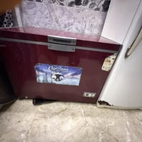 مجمده • نضيفه • النجف