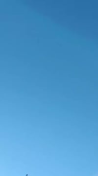 مرخصت الادمن تكتك باجاج موديل 2017 شهر 11محسوبة على 18الاوراق أصولية ت...