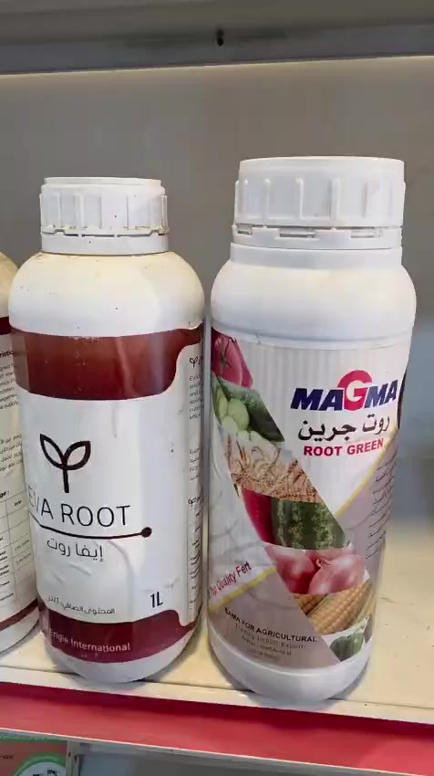 اليوم وياكم #الفخامة #ايفاروت #ورت #جرين #للتجذير أصحاب #النخيل أصحاب #المشاتل @إشارة #ديالى #بغداد #العراق #المقدادية #شهربان #الوجيهية #ابوصيدا


**إذا كنت صاحب هذا الإعلان وتريد حذفه لأي سبب، رجاءا أرسل رسالة إلى الدعم الفني**