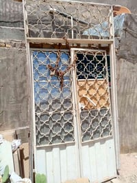 حديد أولي • ثقيل