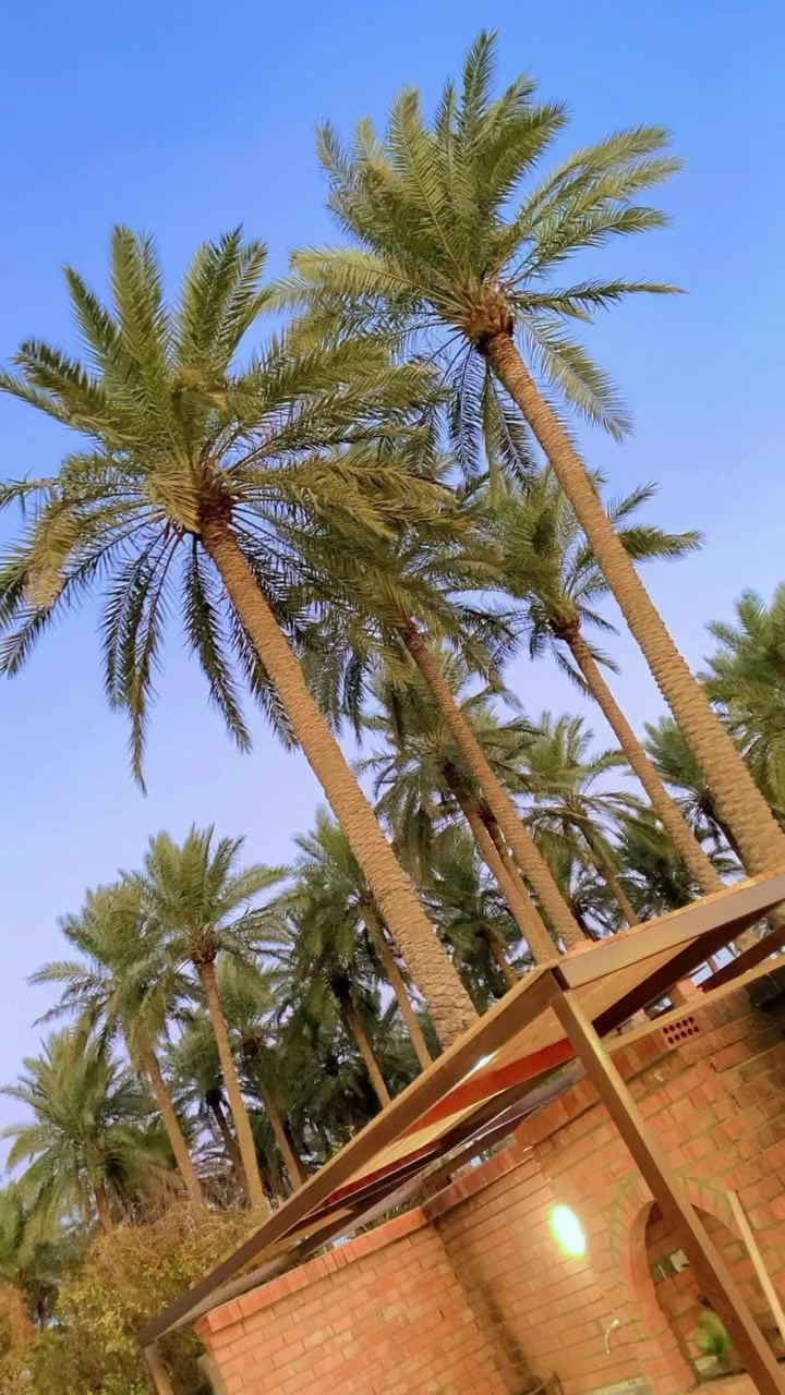 منتجع براندو 👒
منتجع براندو 👒

تحتوي المزرعة رمضان 🌙 مبارك على الجميع اجواء جميلة والهواء النقي والفطور بهدوء وراحة ويه منتجع براندو 🌙☪️منتجع برادو

💺صالة كبيرة مؤثثة  

🌴غرف نوم عدد 2مؤثثة ومكيفة

🍽️🍴🥄مطبخ مجهز بلكامل 

2حمام +تواليت غربي وشرقي منزع خاص بل مسبح 🏊 

مسبح كبير 🏊🏻‍♀️ 

🏊‍♂️مسبح للاطفال 👶🏻

⛱️🌴حديقة  مساحة ٥٧٠+ جلسة جميله وراقيه

🍗🍖مناقل للمشاوي والسمك 

🔌 كهرباء على مدار 24ساعة 

ا 🛜 انترنيت فائق السرعة 4G

بارك سيارات يتسع 4 سيارات  🚘 🚙 

🌴العاب كبار فيشة 🏸 ولعبة ريشه + العاب اطفال مراجيح 🛝وكرسي  دوارخصم خاص العرسان👰🏼🤵🏼‍♂️

📍العنوان :صلاح الدين قضاء بلد

للحجز والاستفسار الاتصال على الرقم 

 اتصال***********
