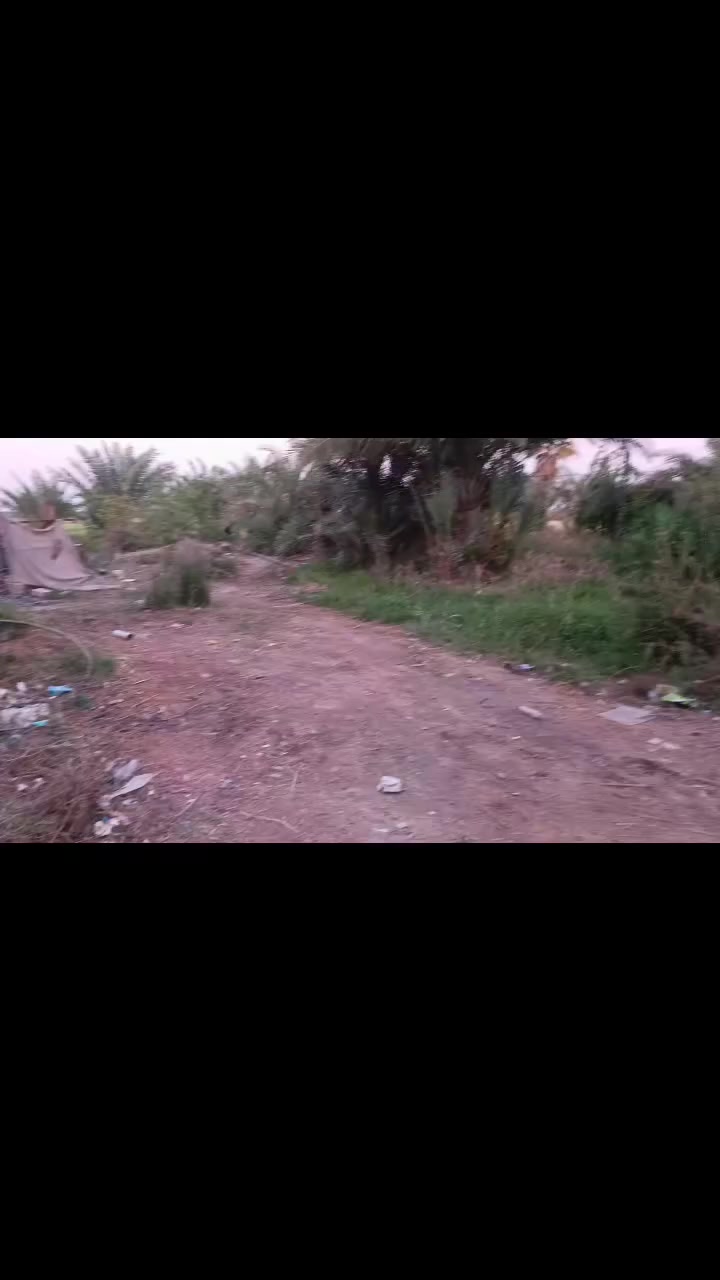 سلام عليكم بستان وبيت البيع بستان مساحته 6دونم  الستفسار ***********
