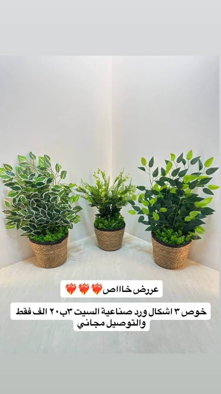 من رخصت الادمن
بيت الورد اليوم يقدم عروض نار الى اهالي صليخ و ال 600 ومناطق مجاورة ❤️‍🔥❤️‍🔥❤️‍🔥 
تواصل : ‭***********‬
