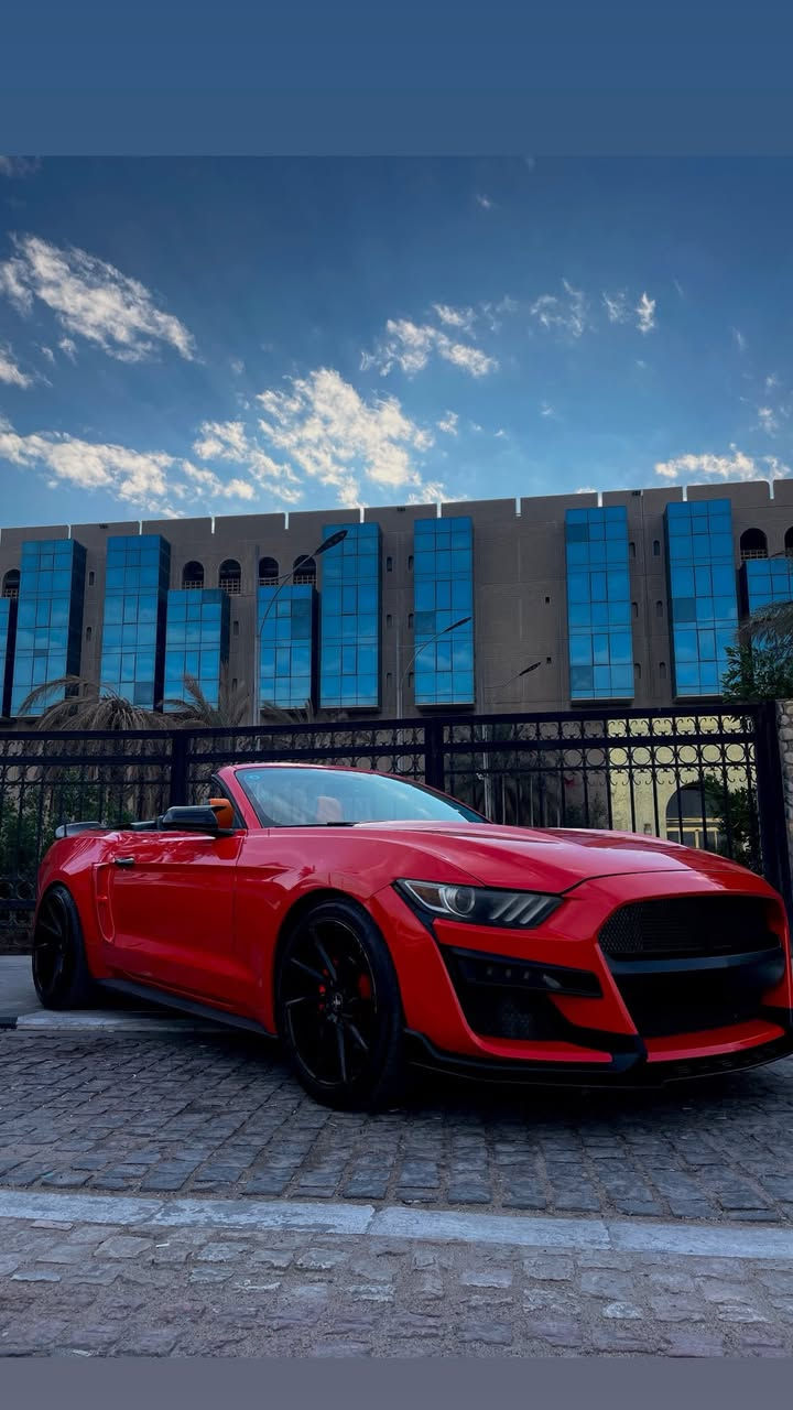 موستنك ١٥ برتقالي مميز كشف
مكينه ٦
حادث جاملق امامي بدون شواصي وجاملق ثاني تبديل وجاملق خلفي شبر  والباقي كفاله 
فول مواصفات 
جاهزا الخير 
رقم دولي بغداد تحويل مباشر 
مكاني بصره 
السعر ١٤٠ 
***********
