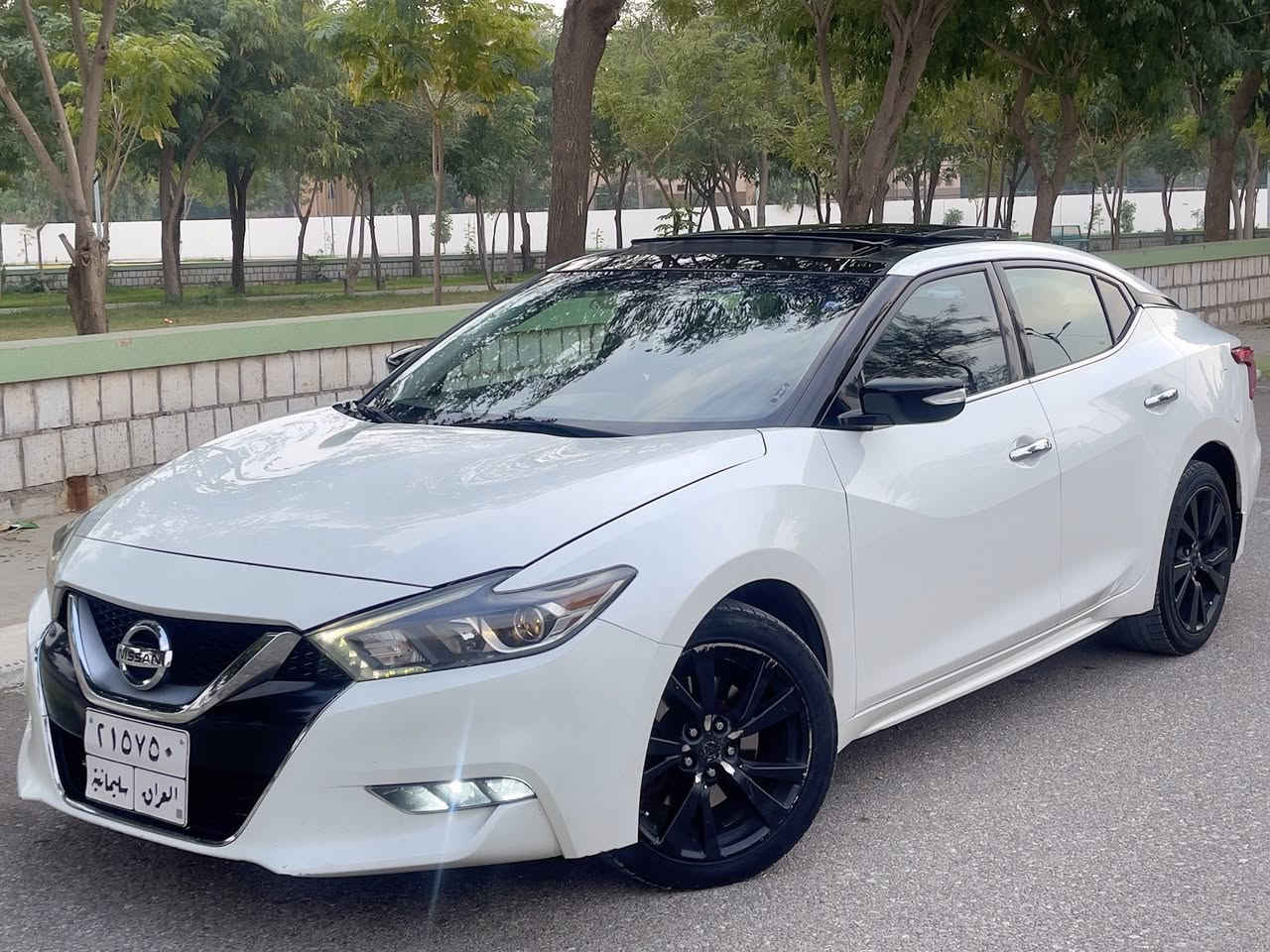 🚘✨ للبيع فقط بدون مراوس نيسان ماكسيما SL 2017✨🚘
وارد أمريكي بدون صبغ
📍 المكان: قضاء كلار  –الرقم سليمانية

🔹 المواصفات:
 • محرك V6 سعة 3.5 لتر بقوة 300 حصان ⚡

 • ناقل حركة أوتوماتيك Xtronic CVT مع وضعية رياضية ( گير ومكينة كفالة عامة )

 • دفع أمامي – اقتصادي ومتين بنفس الوقت

 • جنوط رياضية 19 إنش + إضاءة LED أمامية وخلفية

🔹 المقصورة الداخلية:

 • مقاعد جلدية رياضية مدفأة مع ستيرن تدفئة

 • شاشة لمس 8 إنش + نظام ملاحة وبلوتوث

 • نظام صوت فاخر Bose (11 سماعة) 🎶

 • مكيف هواء أوتوماتيك ثنائي المناطق

    

🔹 بانوراما حساسات نظام تحذير النقطة العمياء + تحذير مغادرة المسار

 • وسائد هوائية كاملة + نظام ثبات إلكتروني

✅ الضرر دعامية امامية وخلفية بدون أيرباك صور الضرر بالمنشور 

✅ السيارة نظيفة جداً ( صيانة منتظمة /ماشية 93 مايل قابل للزيادة )

✅ مناسبة للمدينة والسفر، تجمع بين الأداء الرياضي والفخامة 👌السعر 139 ورقة وبيها مجال قليل

ملاحظة تم تبديل الهايدوليك للگير ودهن المكينة وصدر أمامي وخلفي جديد وكالة 

📞 للاستفسار والتواصل: ***********
