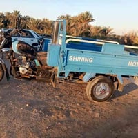 طوريج • مديل ١٩ • اوراق اصولي