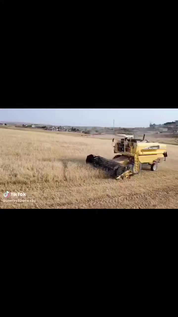 ***********  ***********
