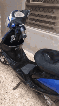 السلام عليكم شباب دراجه ماكس عدله اوراق للبيع السعر 650مكاني العماره دور النفط (***********)
بوشه 55 صالنصه رياضي شلعه ومعدل الدراجه عوزهه فقط سلف
