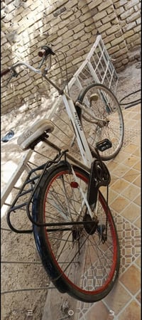 07846344259.        راعيه انامكلف